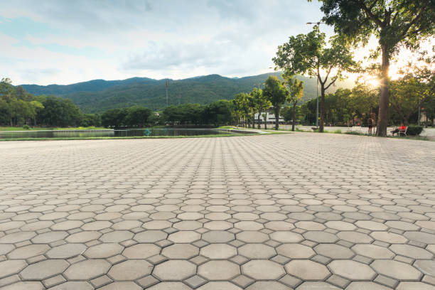 Best Concrete Paver Driveway  in Wellford, SC