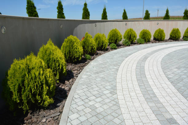 Best Driveway Paving Contractor  in Wellford, SC